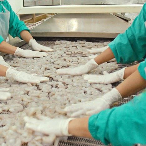 latex gloves used in food industry